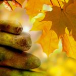 The 5 Foundations of Meditation: A Beginner’s Guide